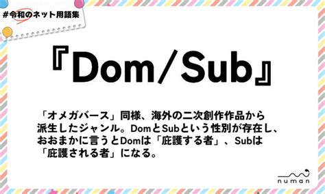 ドムサブとは|Dom/Subユニバースの意味とは？